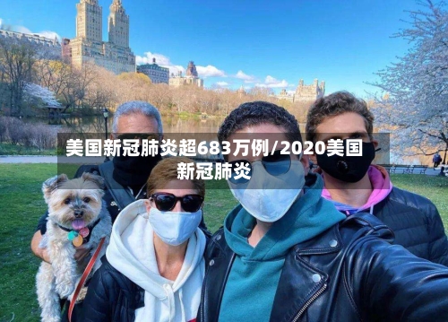 美国新冠肺炎超683万例/2020美国新冠肺炎-第3张图片