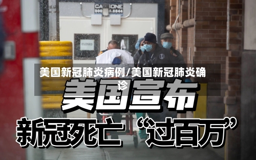 美国新冠肺炎病例/美国新冠肺炎确诊