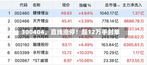 300404，直线涨停！超12万手封单-第3张图片