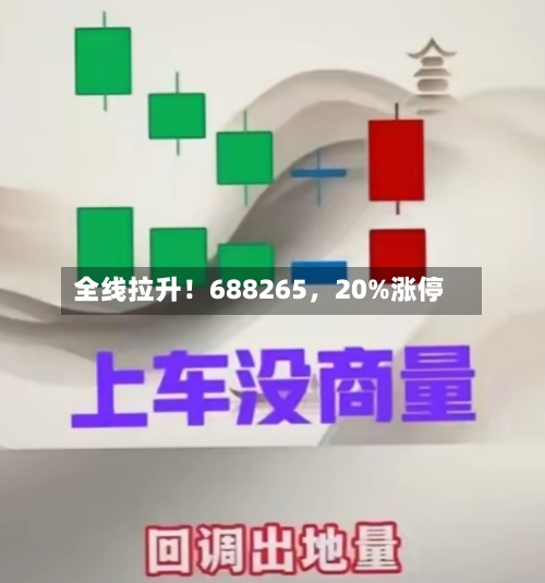 全线拉升！688265，20%涨停-第2张图片