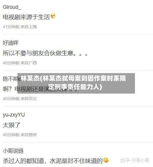 林某杰(林某杰弑母案则因作案时系限定刑事责任能力人)