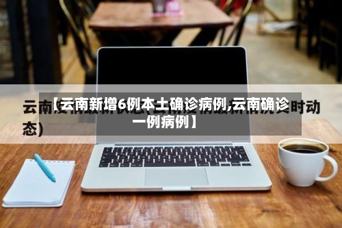 【云南新增6例本土确诊病例,云南确诊一例病例】-第2张图片