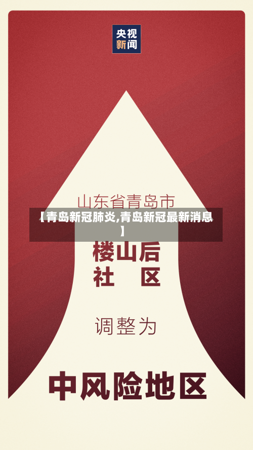 【青岛新冠肺炎,青岛新冠最新消息】-第3张图片