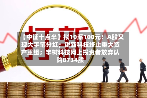 【中证十点半】拟10派100元！A股又现大手笔分红；锐新科技终止重大资产重组；宇树科技网上投资者放弃认购8734股