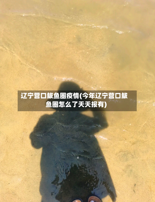 辽宁营口鲅鱼圈疫情(今年辽宁营口鲅鱼圈怎么了天天报有)