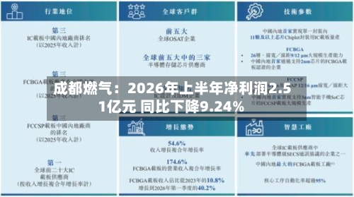 成都燃气:2026年上半年净利润2.51亿元 同比下降9.24%-第3张图片