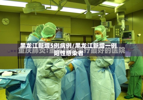 黑龙江新增5例病例/黑龙江新增一例阳性感染者