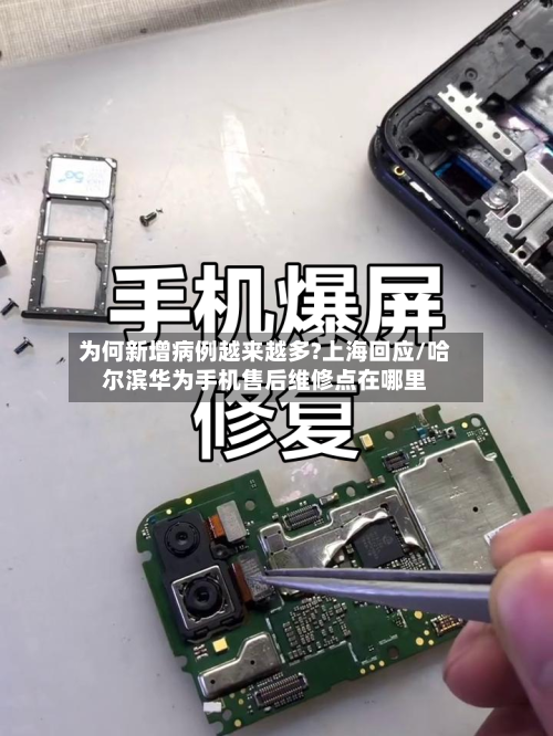 为何新增病例越来越多?上海回应/哈尔滨华为手机售后维修点在哪里-第3张图片