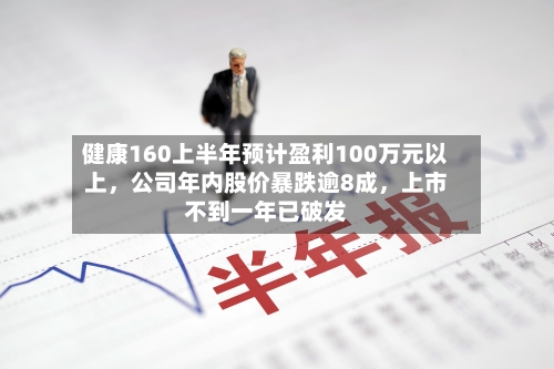 健康160上半年预计盈利100万元以上	，公司年内股价暴跌逾8成，上市不到一年已破发-第2张图片