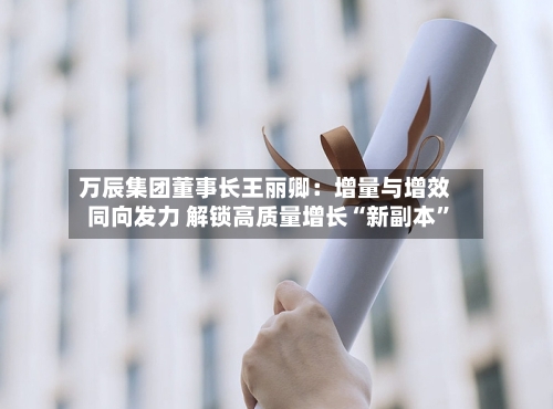 万辰集团董事长王丽卿：增量与增效同向发力 解锁高质量增长“新副本	”-第2张图片
