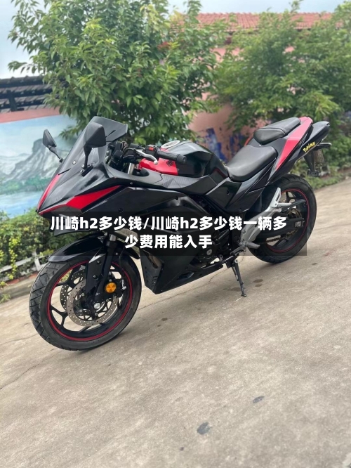 川崎h2多少钱/川崎h2多少钱一辆多少费用能入手-第2张图片