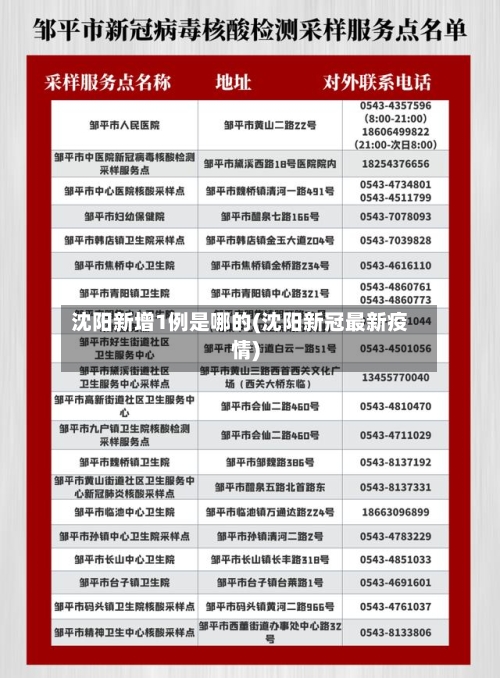 沈阳新增1例是哪的(沈阳新冠最新疫情)-第2张图片