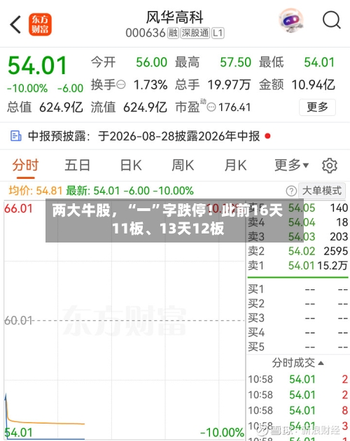 两大牛股，“一”字跌停！此前16天11板	、13天12板-第3张图片