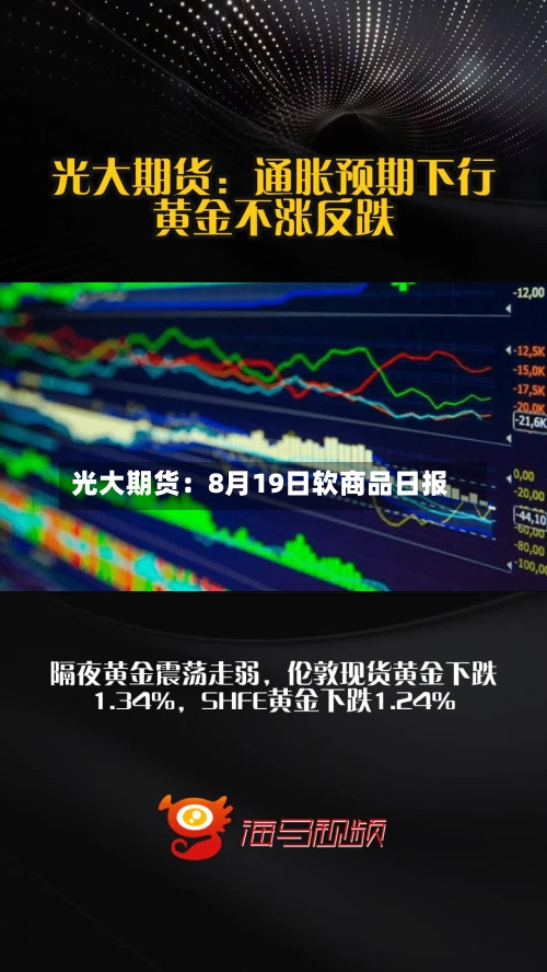 光大期货：8月19日软商品日报