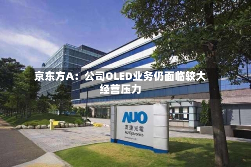 京东方A：公司OLED业务仍面临较大经营压力