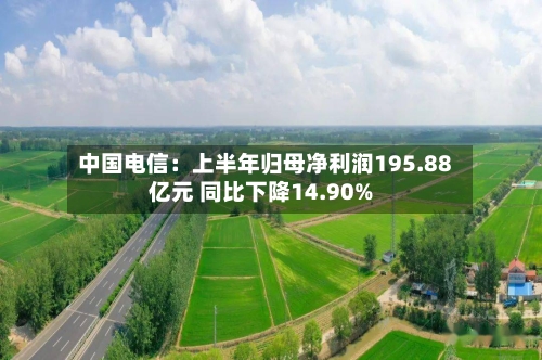 中国电信：上半年归母净利润195.88亿元 同比下降14.90%-第2张图片