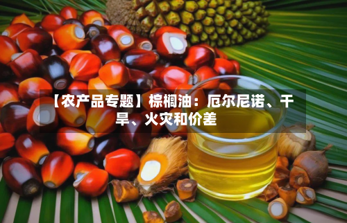 【农产品专题】棕榈油：厄尔尼诺	、干旱、火灾和价差-第3张图片