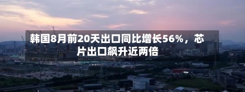 韩国8月前20天出口同比增长56%，芯片出口飙升近两倍