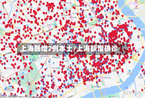 上海新增2例本土/上海新增确诊-第2张图片