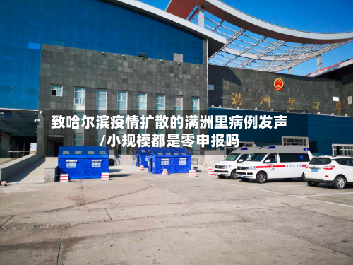 致哈尔滨疫情扩散的满洲里病例发声/小规模都是零申报吗-第2张图片