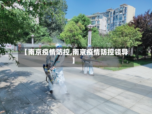 【南京疫情防控,南京疫情防控领导】-第3张图片