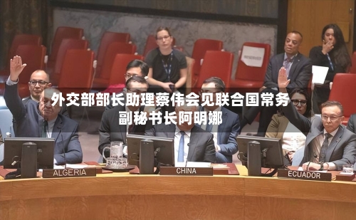 外交部部长助理蔡伟会见联合国常务副秘书长阿明娜