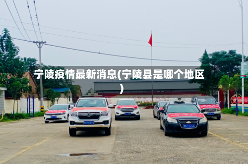 宁陵疫情最新消息(宁陵县是哪个地区)