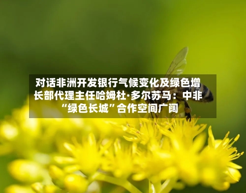 对话非洲开发银行气候变化及绿色增长部代理主任哈姆杜·多尔苏马：中非“绿色长城”合作空间广阔