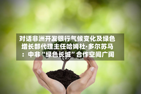 对话非洲开发银行气候变化及绿色增长部代理主任哈姆杜·多尔苏马：中非“绿色长城”合作空间广阔-第3张图片