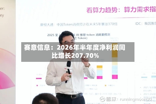 赛意信息：2026年半年度净利润同比增长207.70%