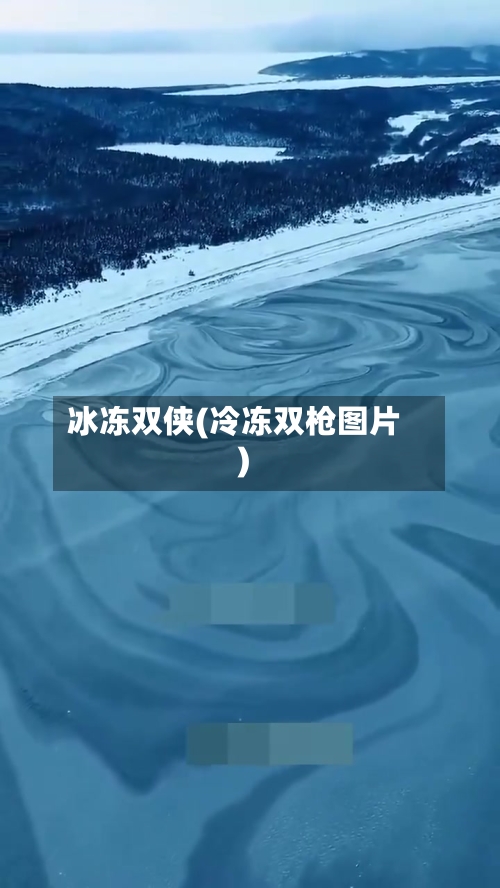 冰冻双侠(冷冻双枪图片)-第3张图片