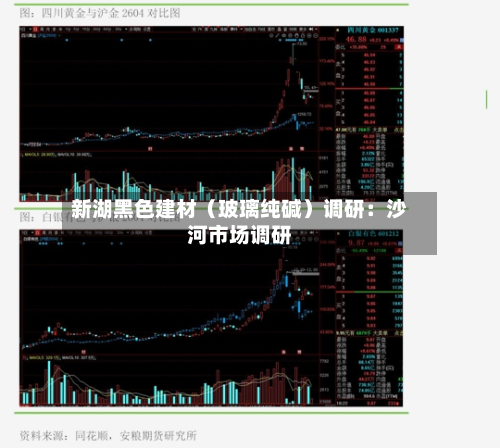 新湖黑色建材（玻璃纯碱）调研：沙河市场调研-第3张图片