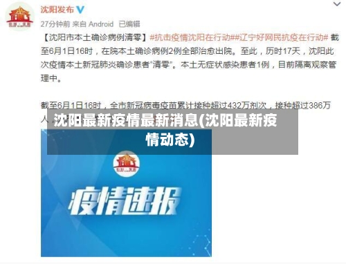 沈阳最新疫情最新消息(沈阳最新疫情动态)-第2张图片
