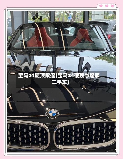 宝马z4硬顶敞篷(宝马z4硬顶敞篷版二手车)-第3张图片