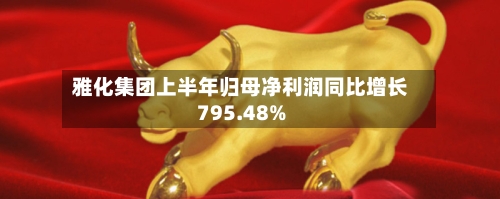 雅化集团上半年归母净利润同比增长795.48%