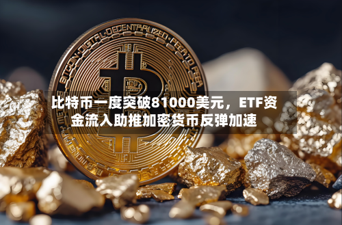 比特币一度突破81000美元，ETF资金流入助推加密货币反弹加速-第2张图片