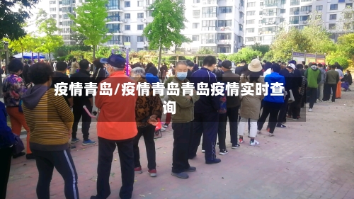疫情青岛/疫情青岛青岛疫情实时查询-第3张图片