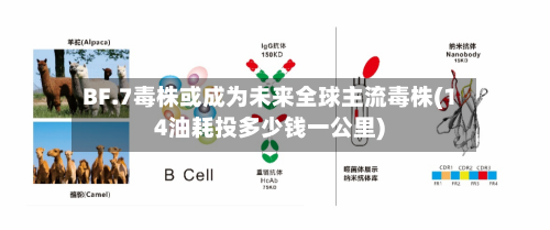 BF.7毒株或成为未来全球主流毒株(14油耗投多少钱一公里)-第2张图片