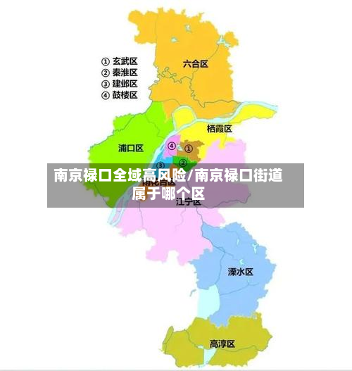 南京禄口全域高风险/南京禄口街道属于哪个区