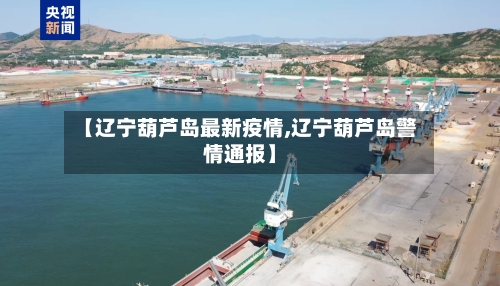 【辽宁葫芦岛最新疫情,辽宁葫芦岛警情通报】-第3张图片