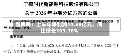 新凤鸣：上半年净利润14.39亿元	，同比增长103.16%-第2张图片