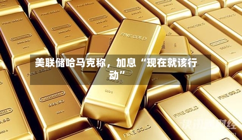 美联储哈马克称，加息 “现在就该行动	”-第2张图片