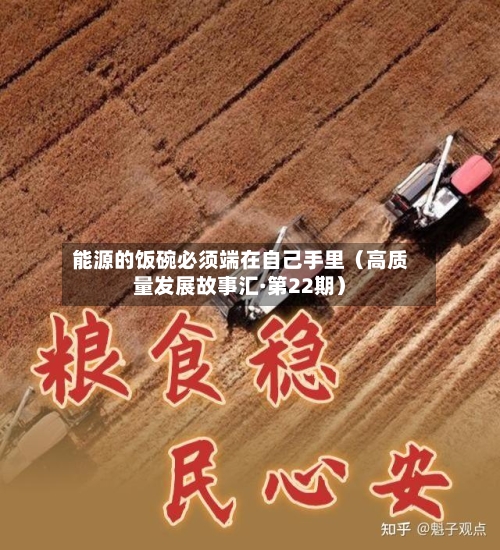 能源的饭碗必须端在自己手里（高质量发展故事汇·第22期）-第2张图片