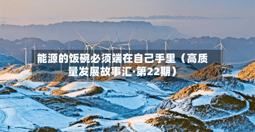 能源的饭碗必须端在自己手里（高质量发展故事汇·第22期）