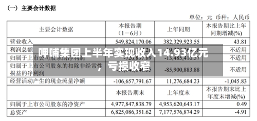 呷哺集团上半年实现收入14.93亿元，亏损收窄-第2张图片