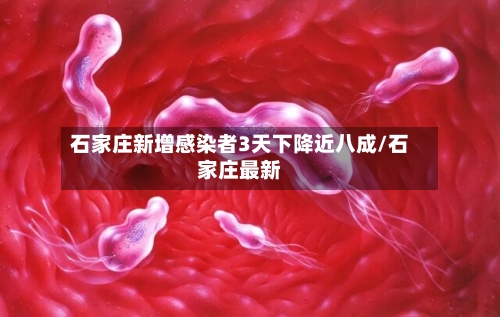 石家庄新增感染者3天下降近八成/石家庄最新