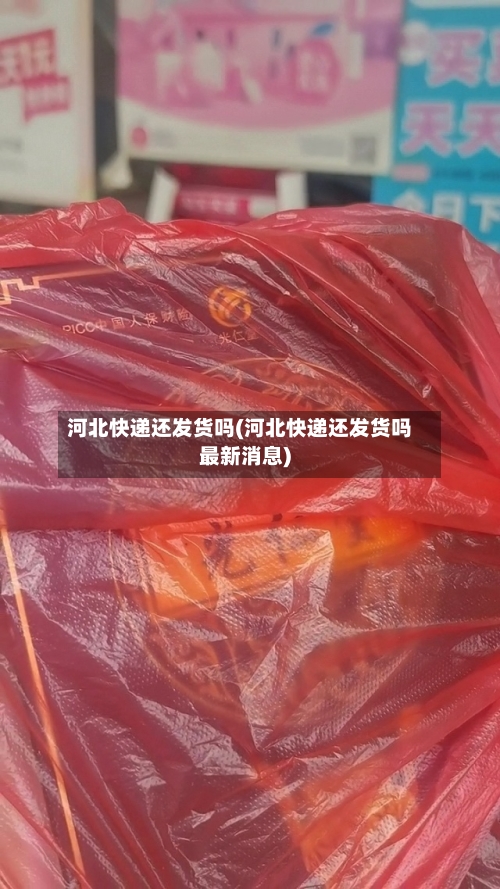 河北快递还发货吗(河北快递还发货吗最新消息)-第3张图片