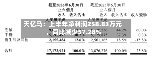 天亿马：上半年净利润258.83万元	，同比减少57.28%-第2张图片