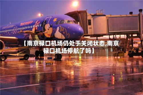 【南京禄口机场仍处于关闭状态,南京禄口机场停航了吗】