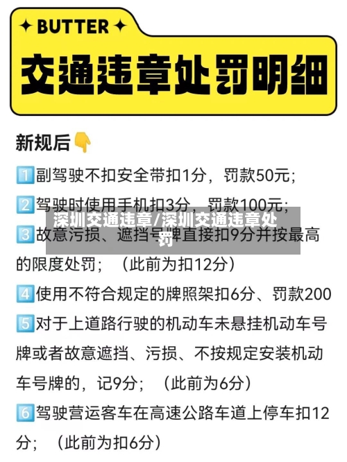 深圳交通违章/深圳交通违章处罚
